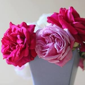 Meet your Posher, Kath